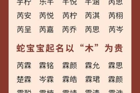 属蛇巳时出生的男孩应该如何起名，宜用什么字姓名