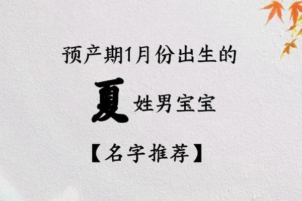 夏姓女孩名字大全-夏姓女孩起名字大全-夏姓名字大全姓名