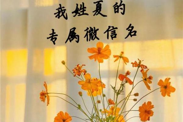 夏姓女孩名字大全-夏姓女孩起名字大全-夏姓名字大全姓名