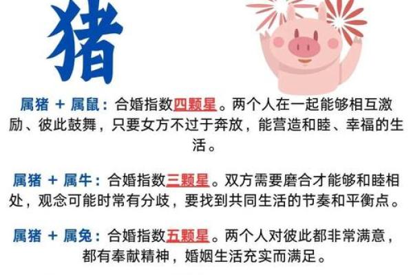 4月份出生的属猪男孩该怎么起名姓名