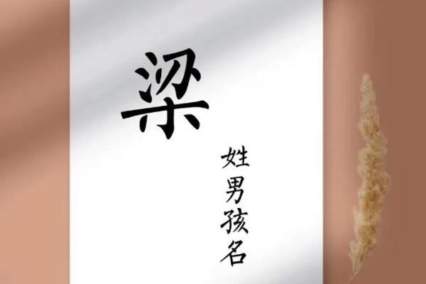 梁姓男孩名字大全-梁姓男孩起名字大全-梁姓名字大全姓名