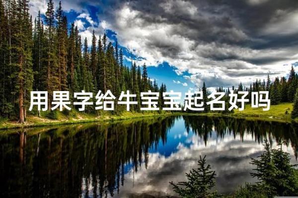 下午4点出生的属牛男孩如何取名好姓名
