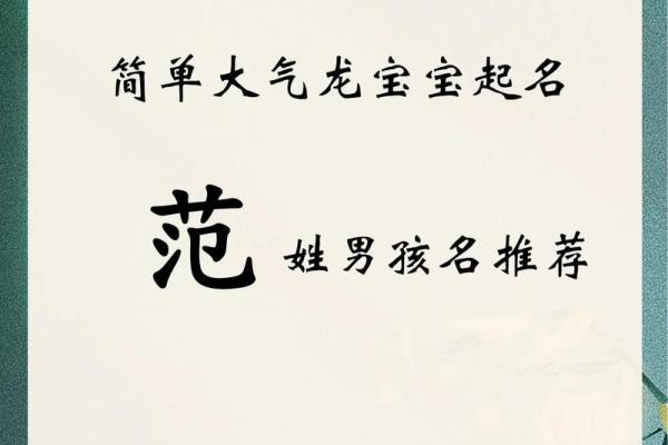 2019年5月25号卯时出生的男孩起名方法姓名