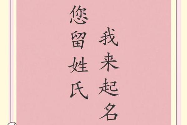 2019年大雪节气出生带雪字取名女孩名字，关于雪的唯美名字姓名
