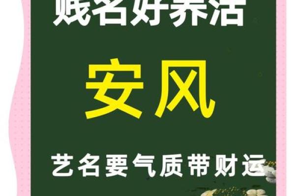 明星和星二代还有名人的小名都是什么-姓名学-华易网姓名