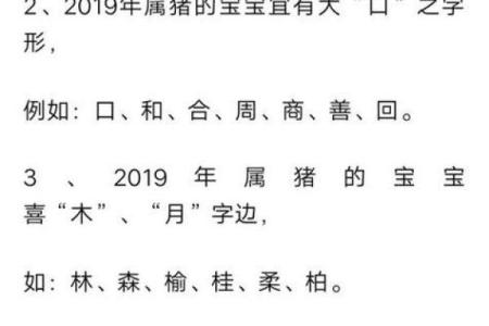 2019年6月12号寅时出生的男孩要怎么起名字姓名