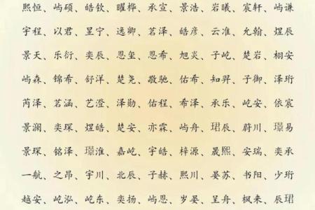 2019年5月21号丑时出生的男孩要怎么起名字姓名