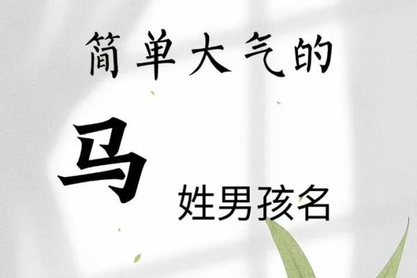 马姓男孩名字大全-马姓男孩起名字大全-马姓名字大全姓名