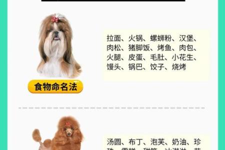 怎样给属狗戍时出生的男孩起名，宜用什么字姓名