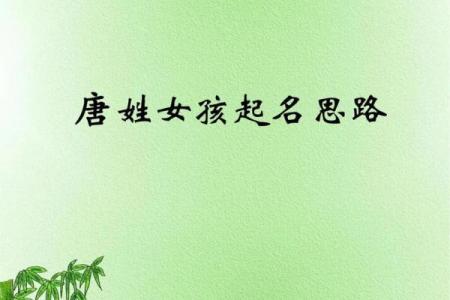 唐姓女孩名字大全-唐姓女孩起名字大全-唐姓名字大全姓名