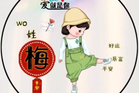梅姓女孩名字大全-梅姓女孩起名字大全-梅姓名字大全姓名