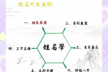 数理诱导作用分类-姓名学-姓名分析姓名
