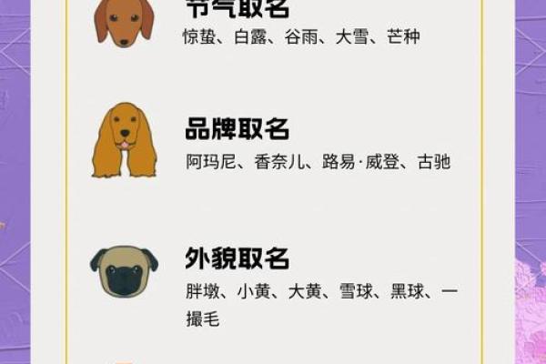适合给属狗丑时出生的男孩取的起名，宜用字姓名
