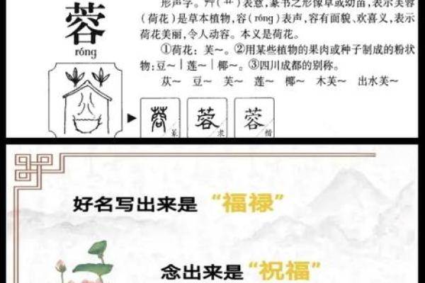 2015羊年宝宝起名大全-姓名学-华易算命网姓名