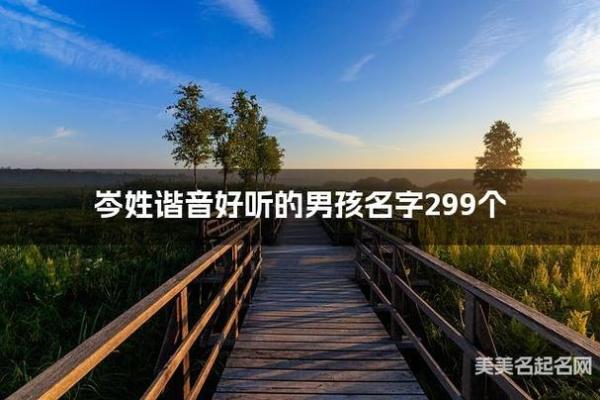 岑姓男孩名字大全-岑姓男孩起名字大全-岑姓名字大全姓名
